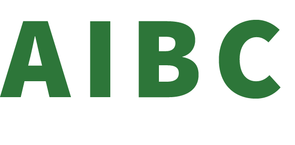 ACCELERATING INTERNATIONAL BCT INC logo